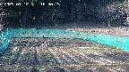 kannonmori-20250412163015.jpg