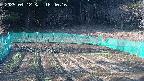 kannonmori-20250412164016.jpg