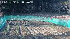 kannonmori-20250412165019.jpg