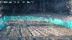kannonmori-20250412170018.jpg