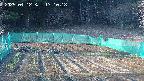 kannonmori-20250412171018.jpg