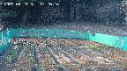 kannonmori-20250412172016.jpg
