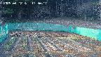 kannonmori-20250412173017.jpg
