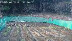 kannonmori-20250412174017.jpg