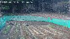kannonmori-20250412175017.jpg