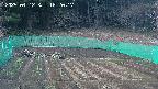 kannonmori-20250412182017.jpg