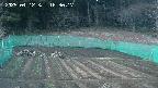 kannonmori-20250412183018.jpg