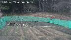kannonmori-20250413050019.jpg
