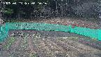 kannonmori-20250413051017.jpg