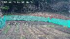 kannonmori-20250413053016.jpg
