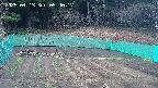 kannonmori-20250413054018.jpg