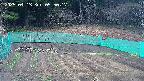 kannonmori-20250413055017.jpg