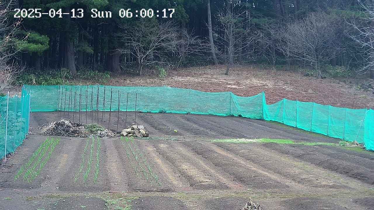 kannonmori-20250413060018.jpg