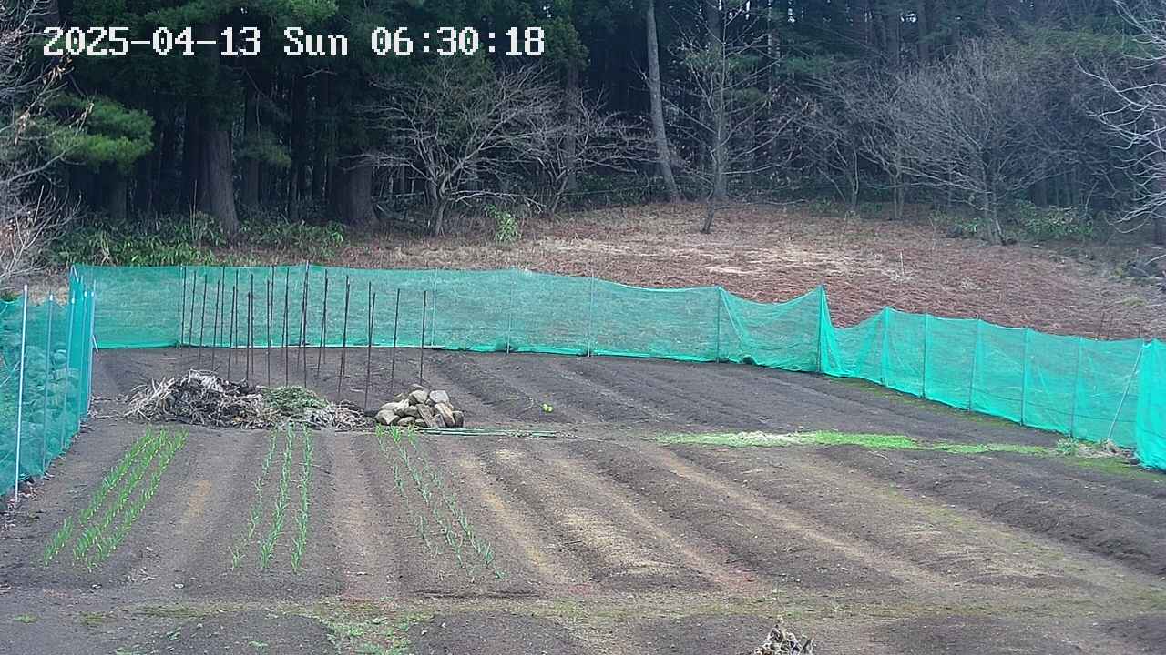 kannonmori-20250413063019.jpg