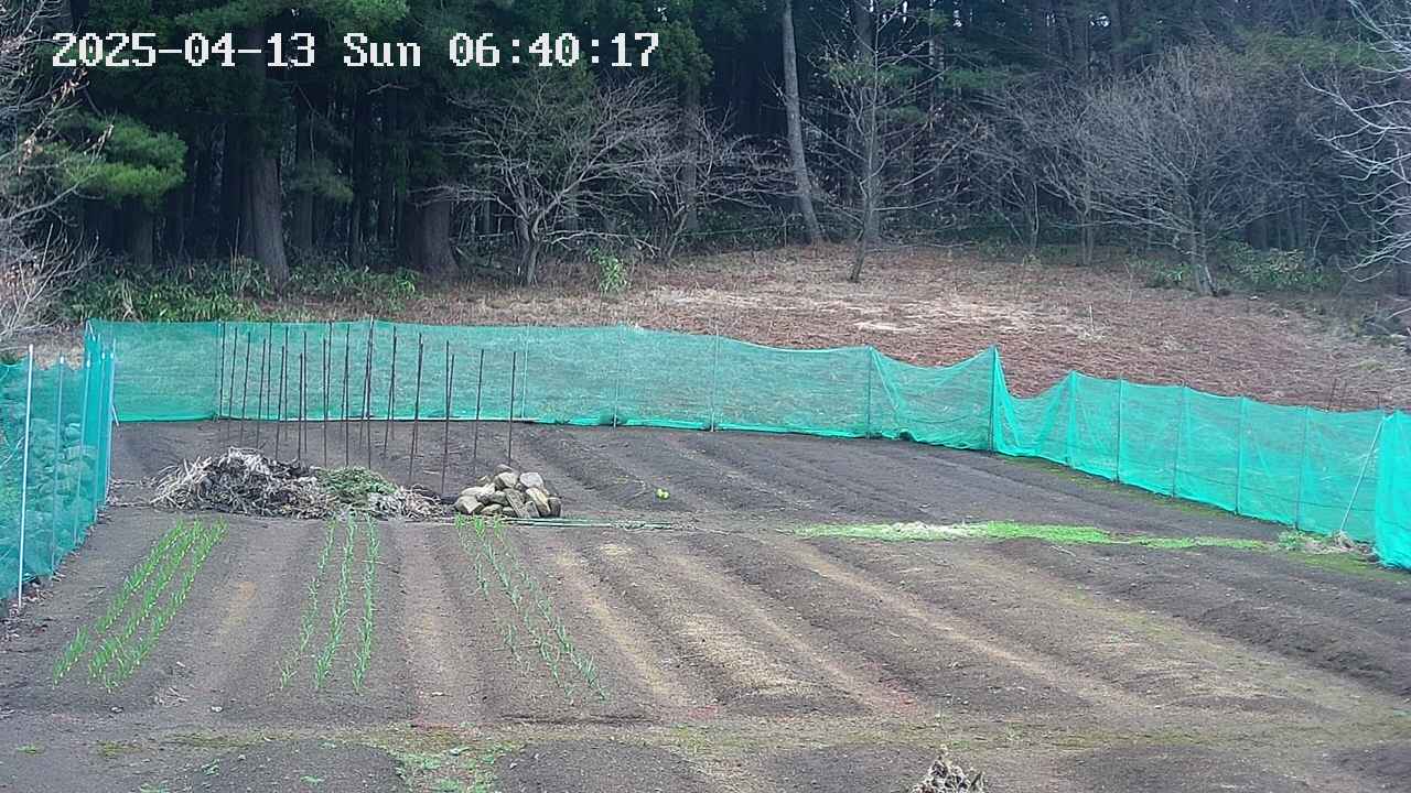 kannonmori-20250413064018.jpg