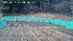 kannonmori-20250413065017.jpg