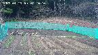 kannonmori-20250413071017.jpg
