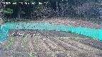 kannonmori-20250413074018.jpg