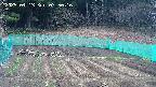 kannonmori-20250413075016.jpg