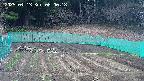 kannonmori-20250413080019.jpg