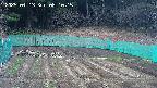 kannonmori-20250413081016.jpg