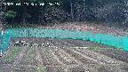 kannonmori-20250413082016.jpg