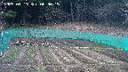 kannonmori-20250413083016.jpg