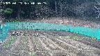 kannonmori-20250413085015.jpg