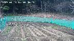 kannonmori-20250413090016.jpg