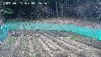 kannonmori-20250413091017.jpg