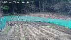 kannonmori-20250413093018.jpg