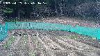 kannonmori-20250413094017.jpg