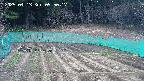 kannonmori-20250413095017.jpg