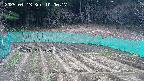 kannonmori-20250413100018.jpg