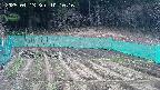 kannonmori-20250413101017.jpg