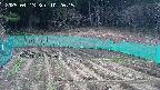 kannonmori-20250413102016.jpg