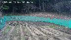 kannonmori-20250413103017.jpg