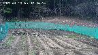 kannonmori-20250413104017.jpg