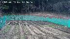 kannonmori-20250413110018.jpg