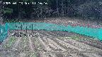 kannonmori-20250413111018.jpg