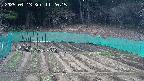 kannonmori-20250413112017.jpg