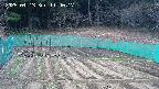 kannonmori-20250413114018.jpg