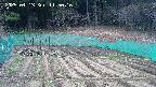 kannonmori-20250413115017.jpg
