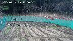 kannonmori-20250413120016.jpg
