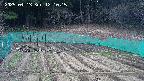 kannonmori-20250413121017.jpg