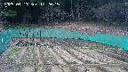 kannonmori-20250413122017.jpg