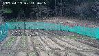 kannonmori-20250413123017.jpg