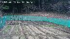 kannonmori-20250413124017.jpg