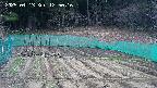 kannonmori-20250413125017.jpg