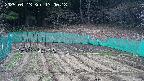kannonmori-20250413130020.jpg